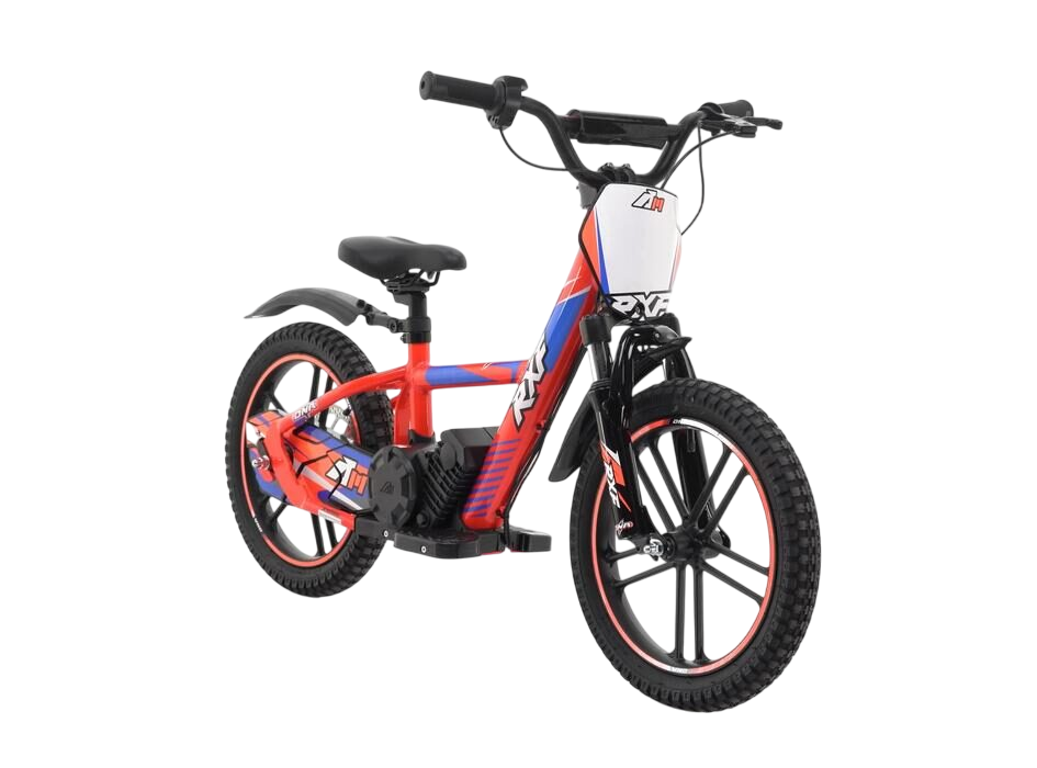 image-Photoroom (63)